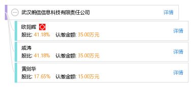 武汉朗信信息科技 专业信息技术咨询服务的引领者