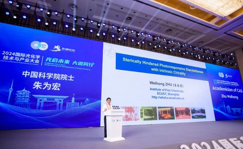 2024国际光化学技术与产业大会在武汉开幕 赋能信息技术咨询服务新未来